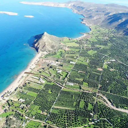 Hiona Παλαίκαστρο